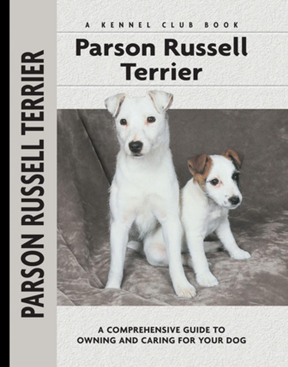 Big bigCover of Parson Russell Terrier