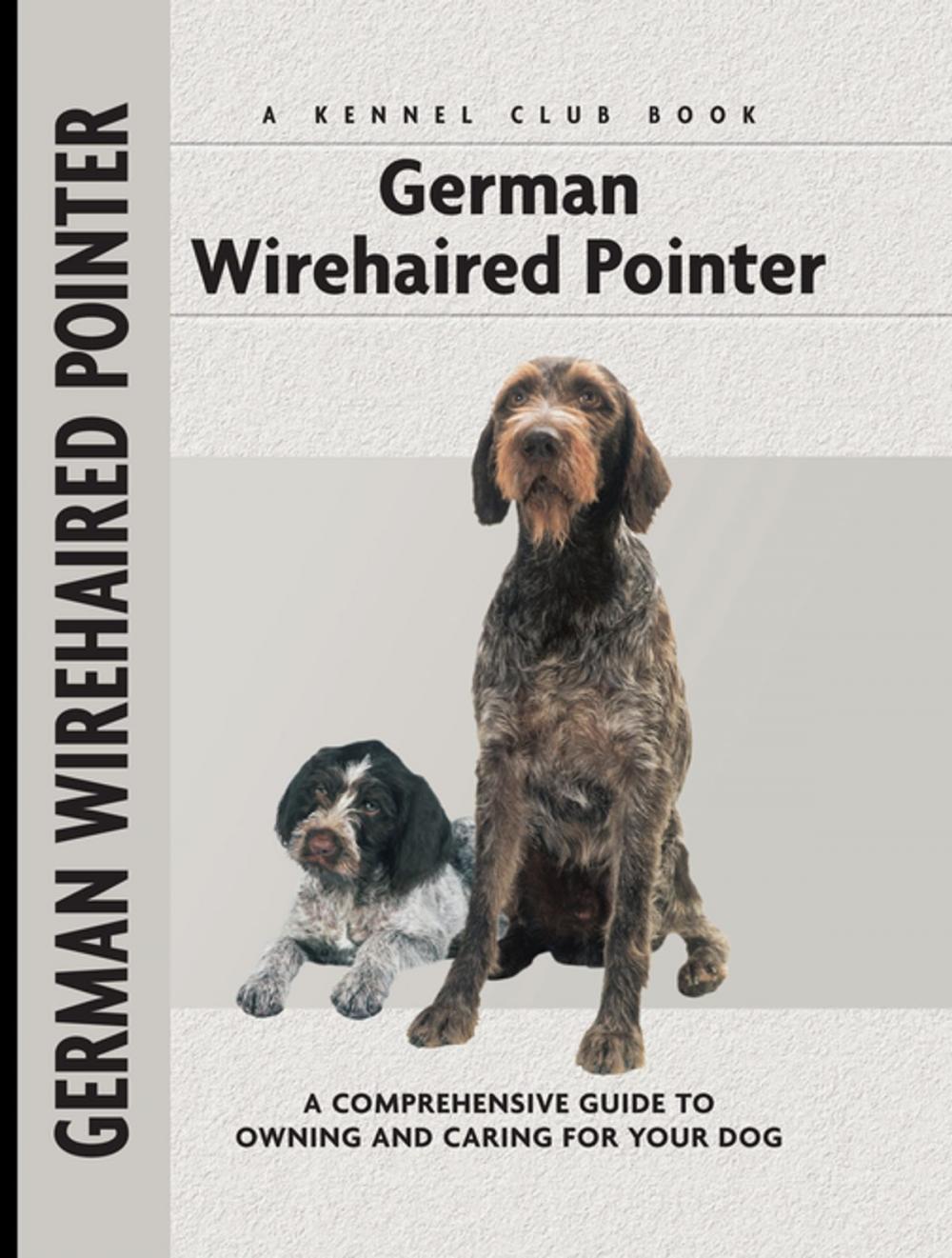 Big bigCover of German Wirehaired Pointer