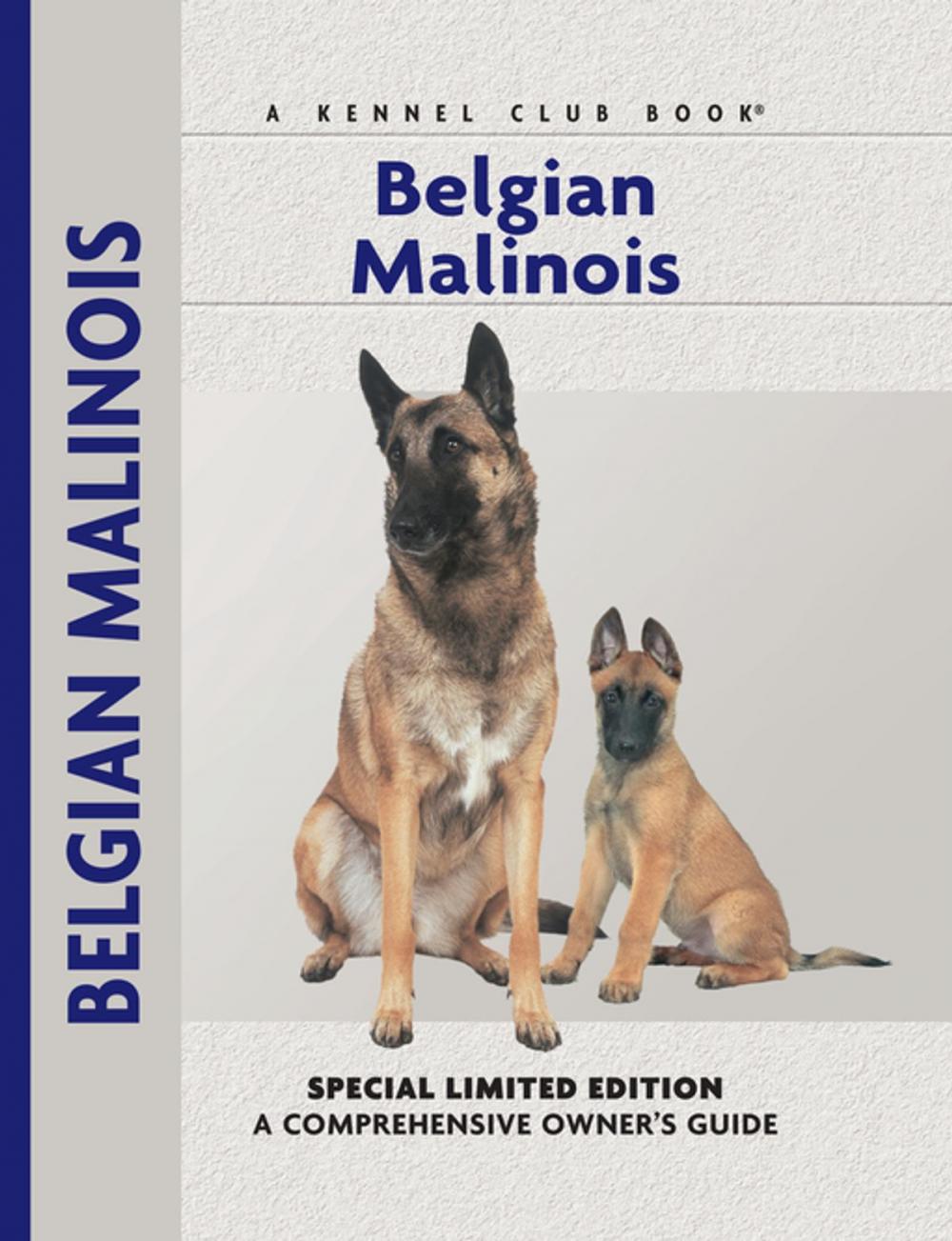 Big bigCover of Belgian Malinois