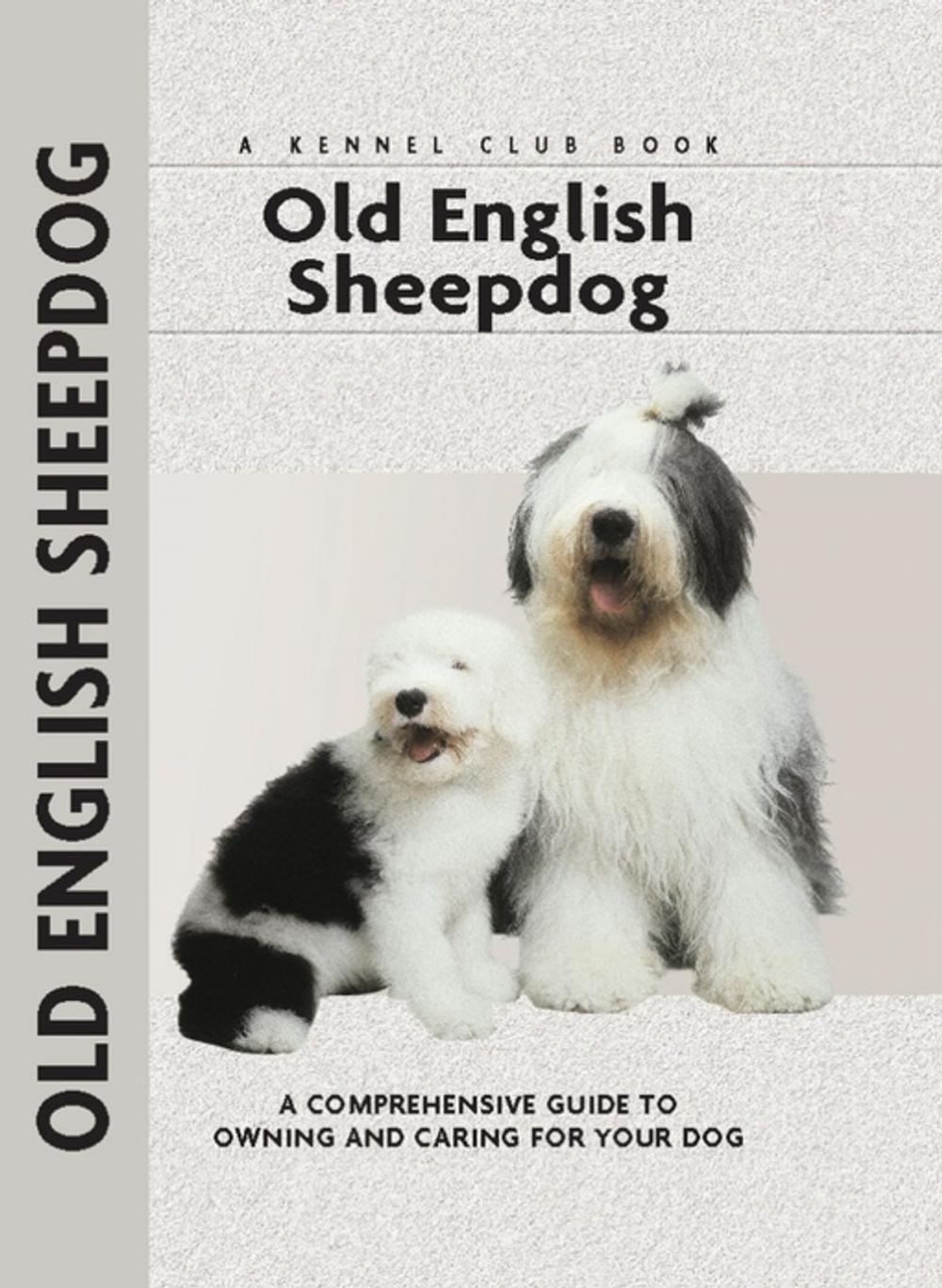 Big bigCover of Old English Sheepdog