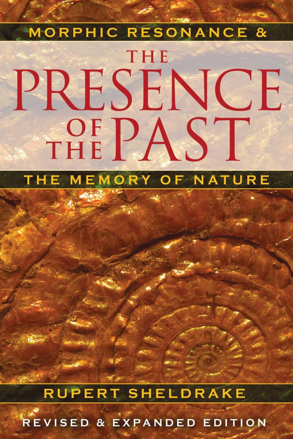 Big bigCover of The Presence of the Past