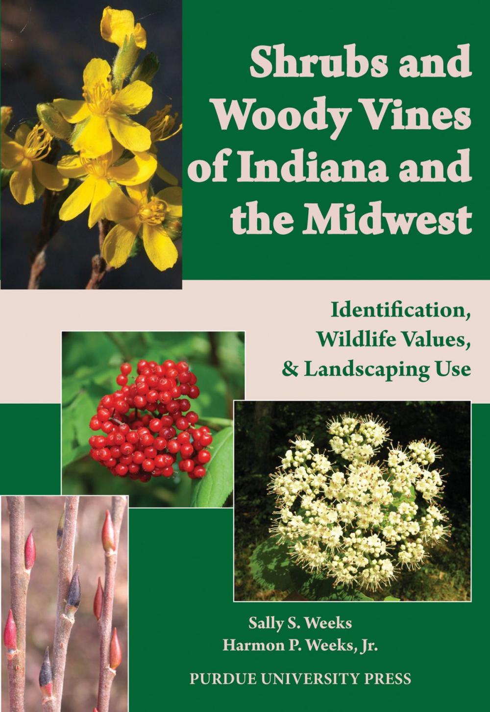 Big bigCover of Shrubs and Woody Vines of Indiana and the Midwest