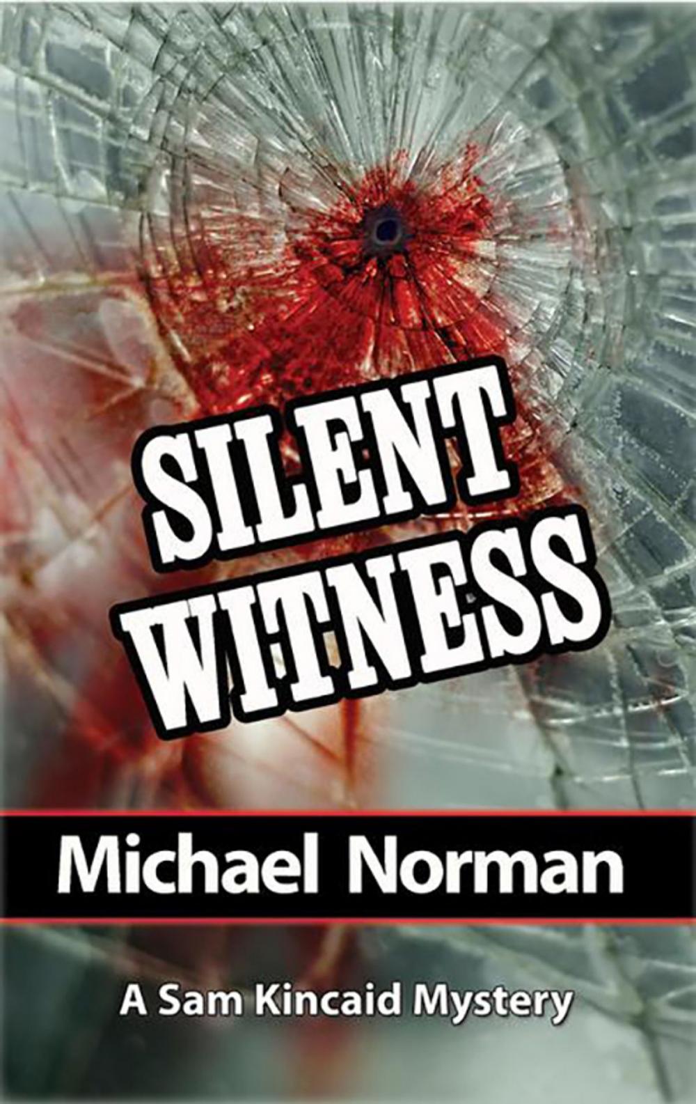 Big bigCover of Silent Witness