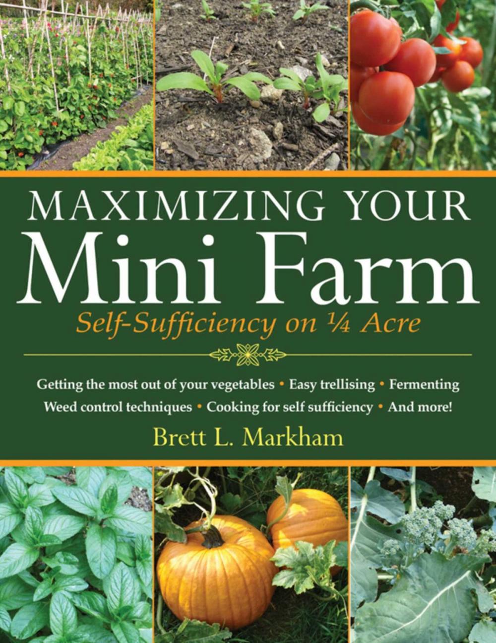 Big bigCover of Maximizing Your Mini Farm