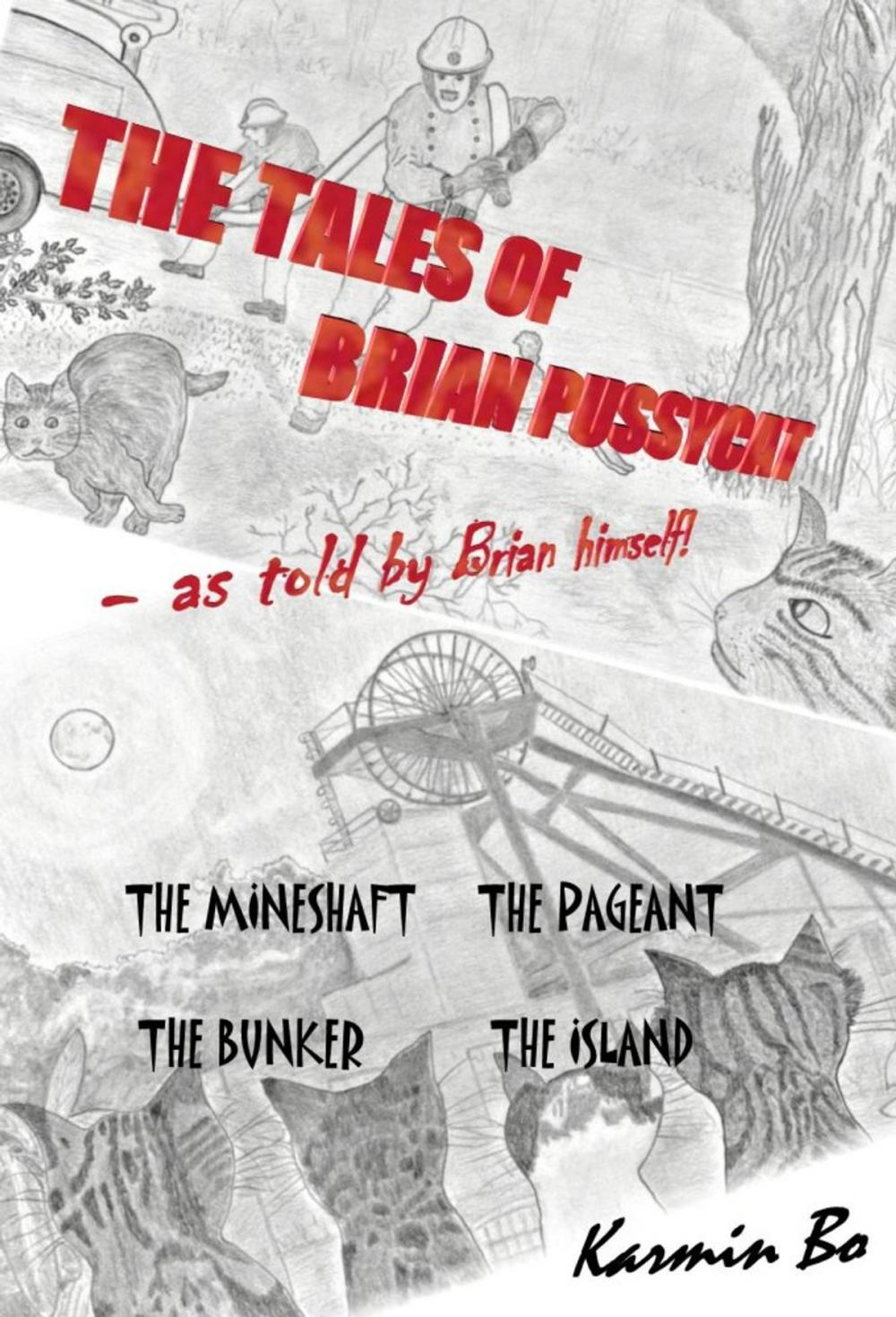 Big bigCover of The Tales of Brian Pussycat