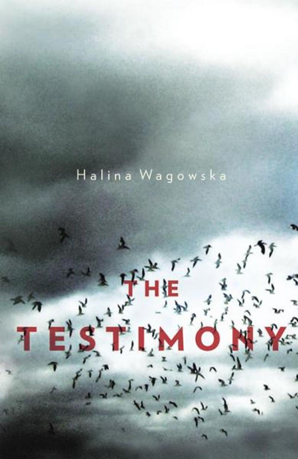 Big bigCover of The Testimony   