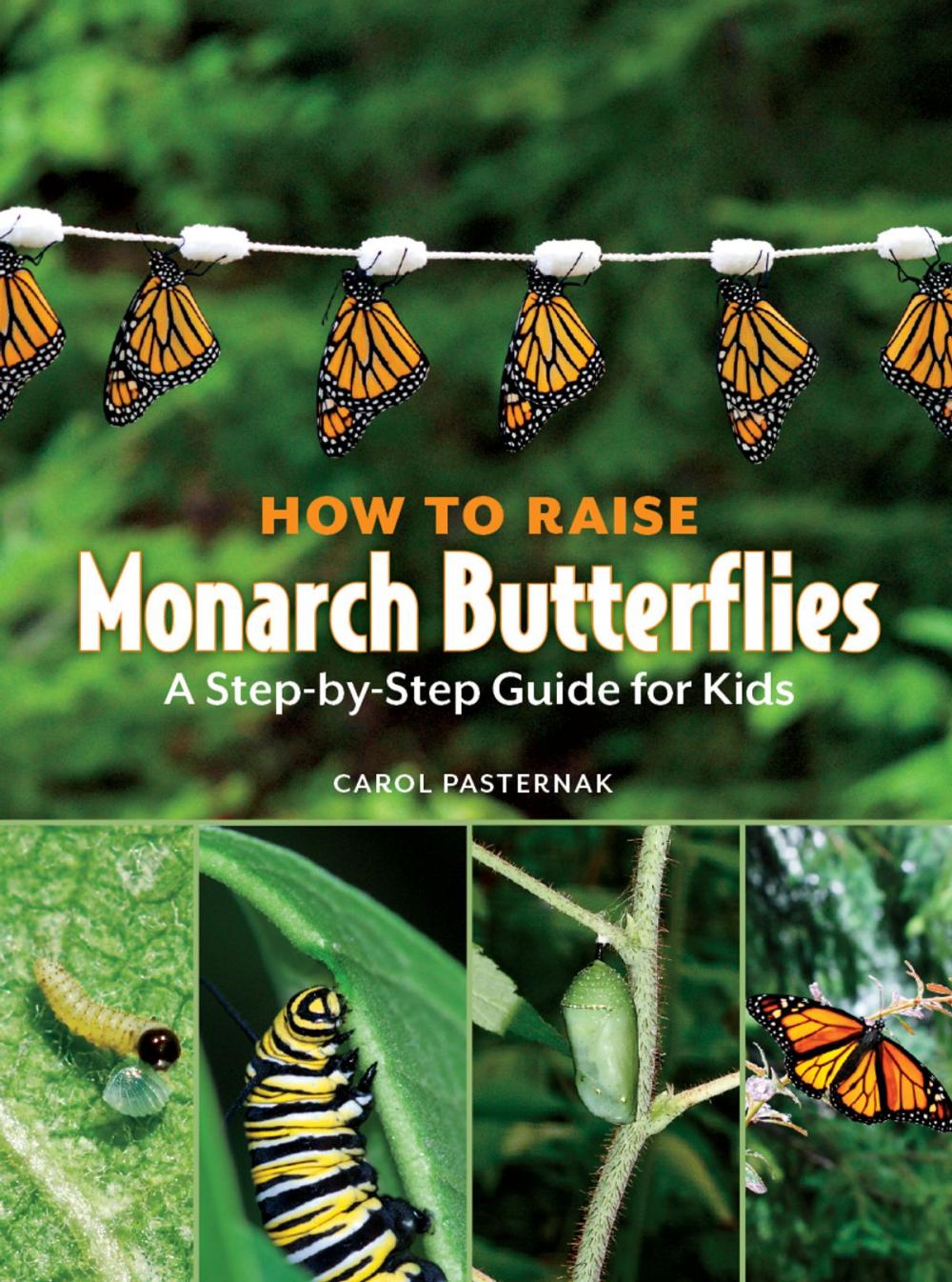 Big bigCover of How to Raise Monarch Butterflies