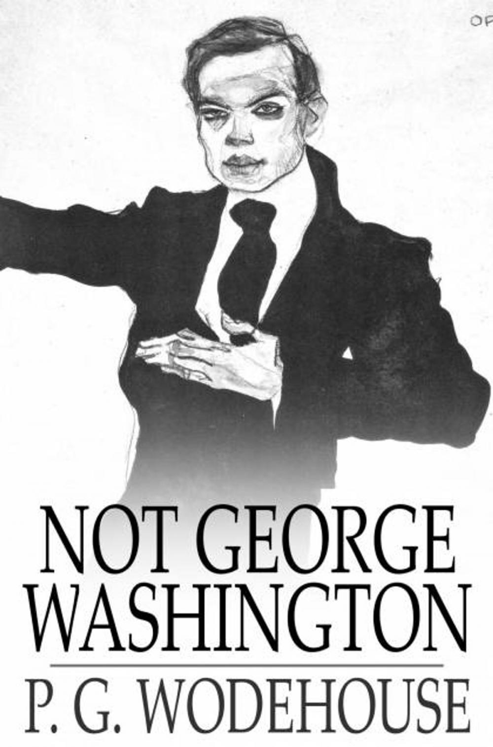 Big bigCover of Not George Washington