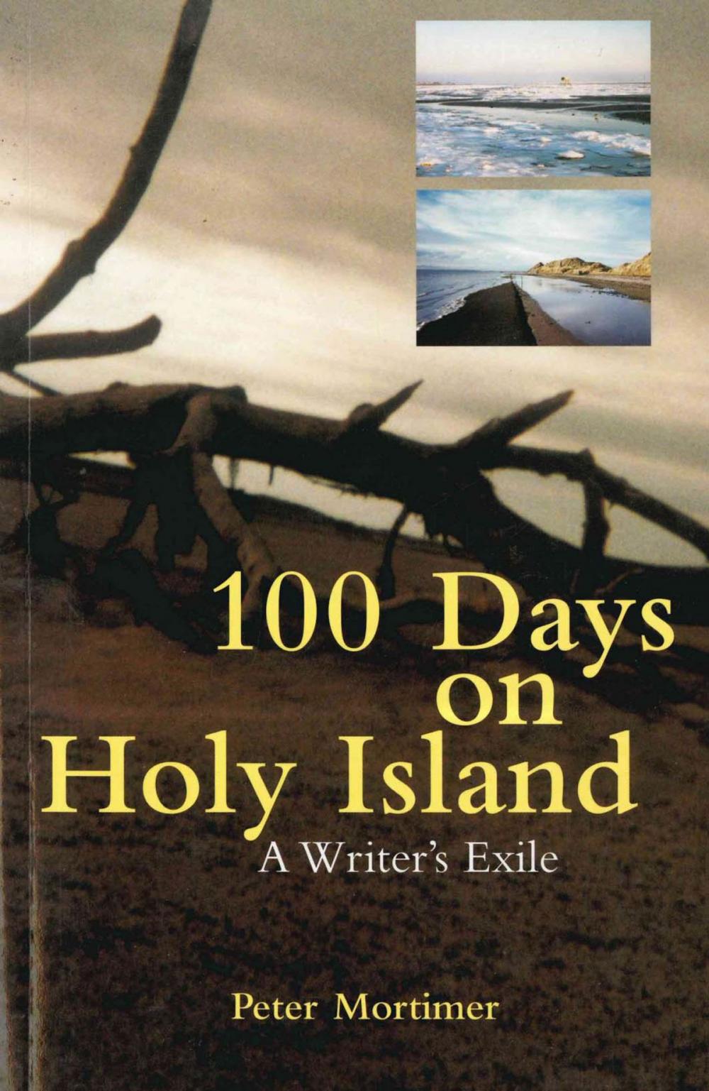 Big bigCover of 100 Days On Holy Island