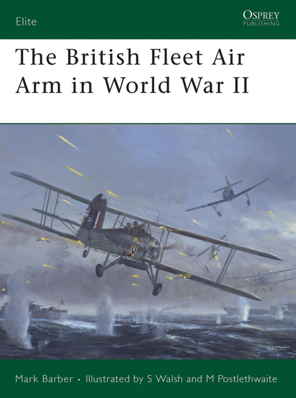 Big bigCover of The British Fleet Air Arm in World War II