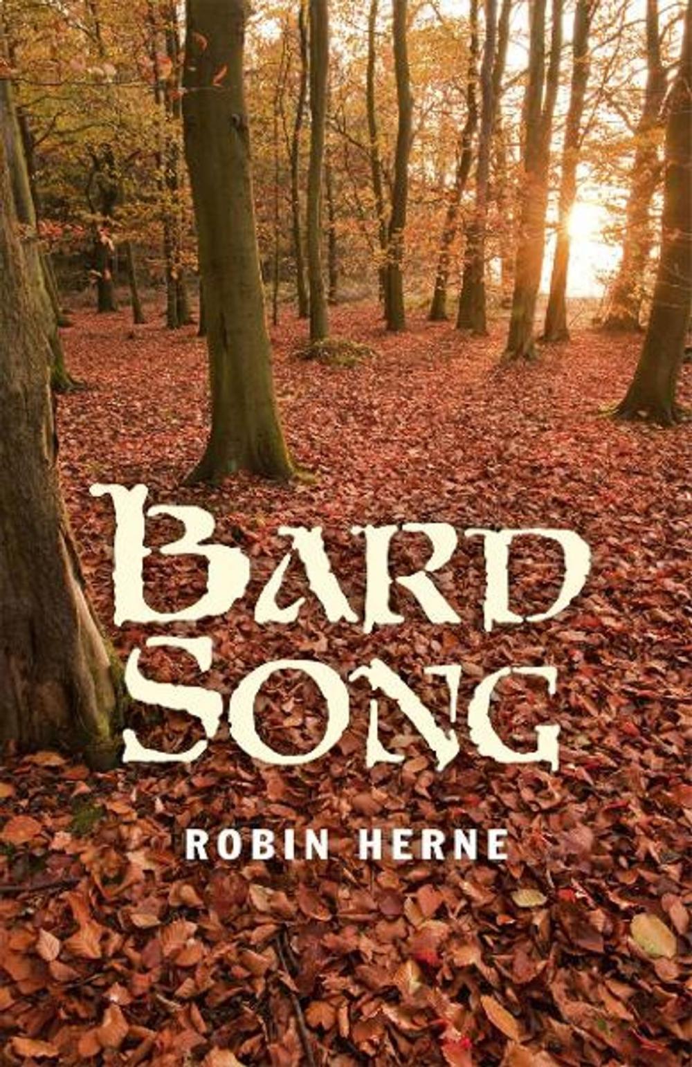 Big bigCover of Bard Song