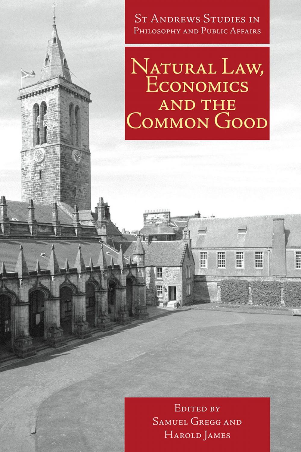 Big bigCover of Natural Law, Economics and the Common Good