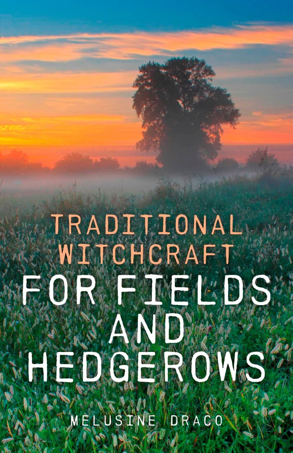 Big bigCover of Traditional Witchcraft for Fields and Hedgerows