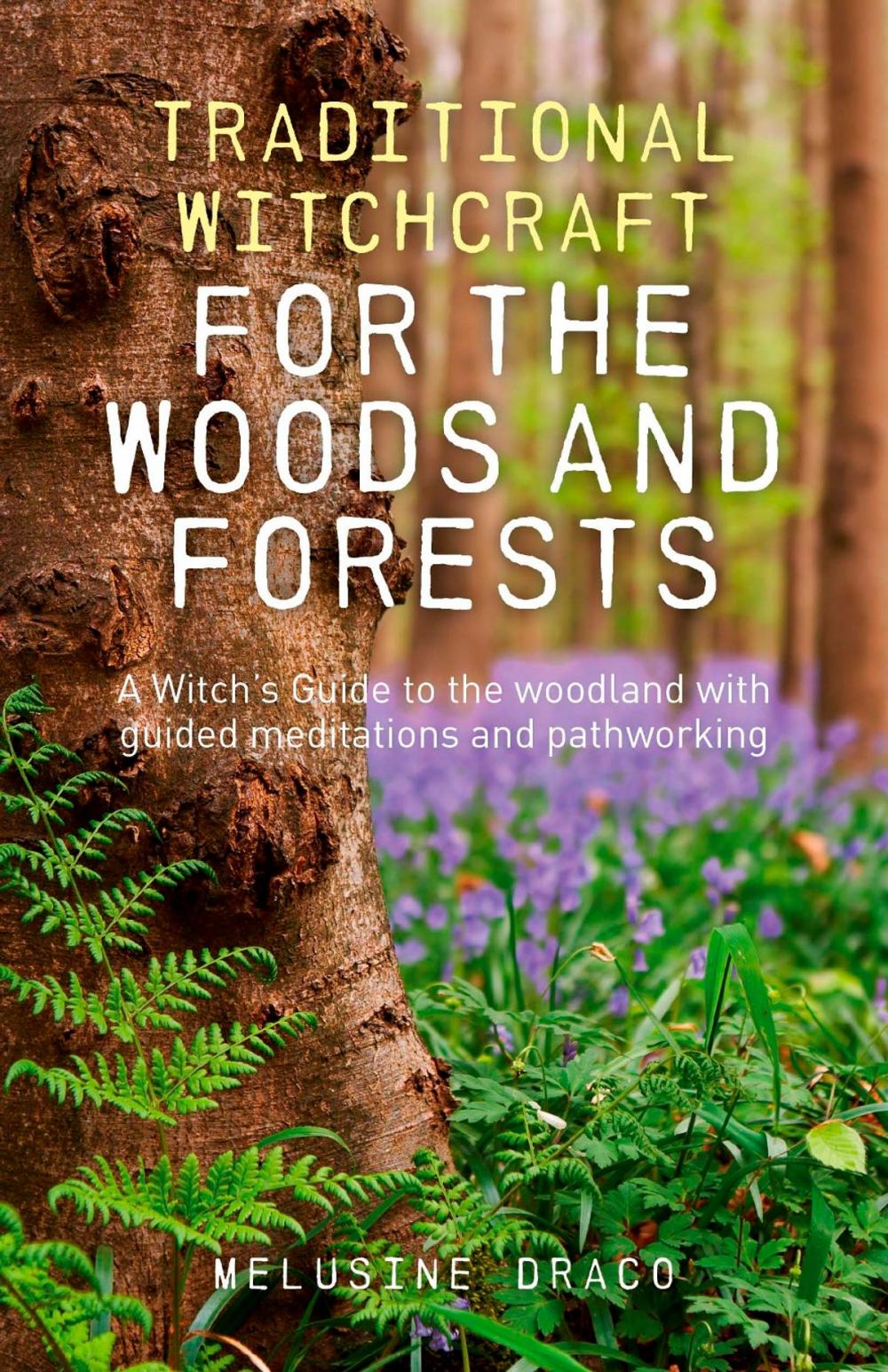 Big bigCover of Traditional Witchcraft for the Woods and Forests