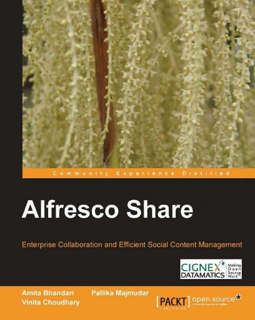 Big bigCover of Alfresco Share