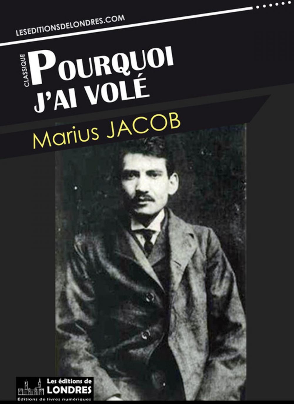 Big bigCover of Pourquoi j'ai volé