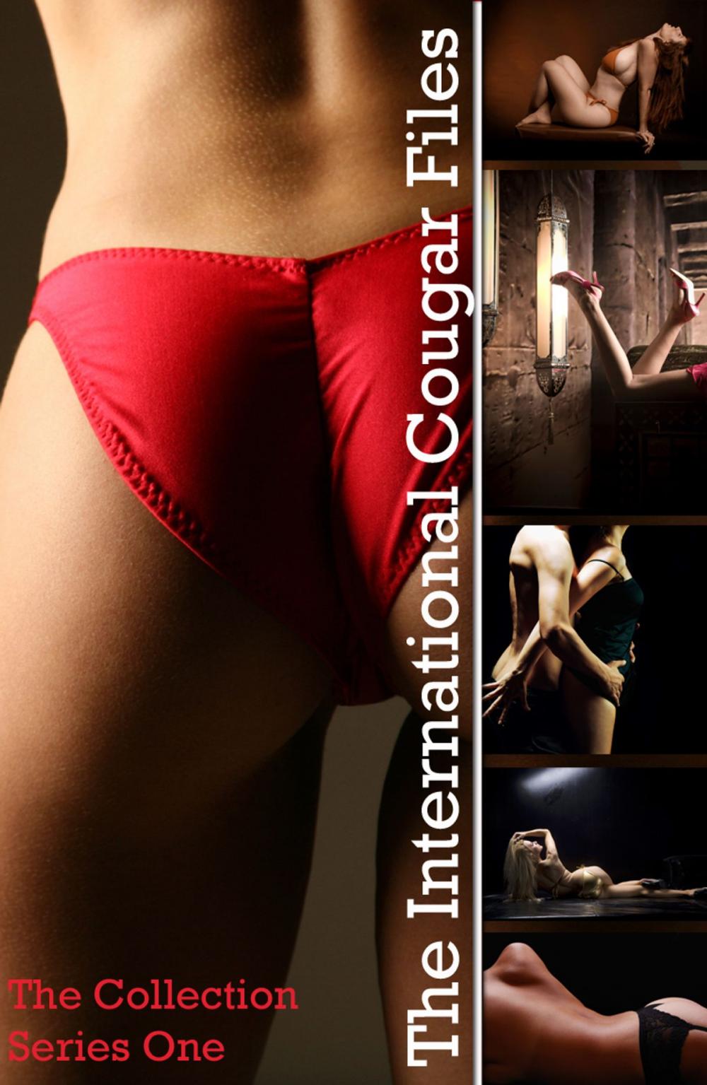 Big bigCover of The International Cougar Files - The Collection: Series One