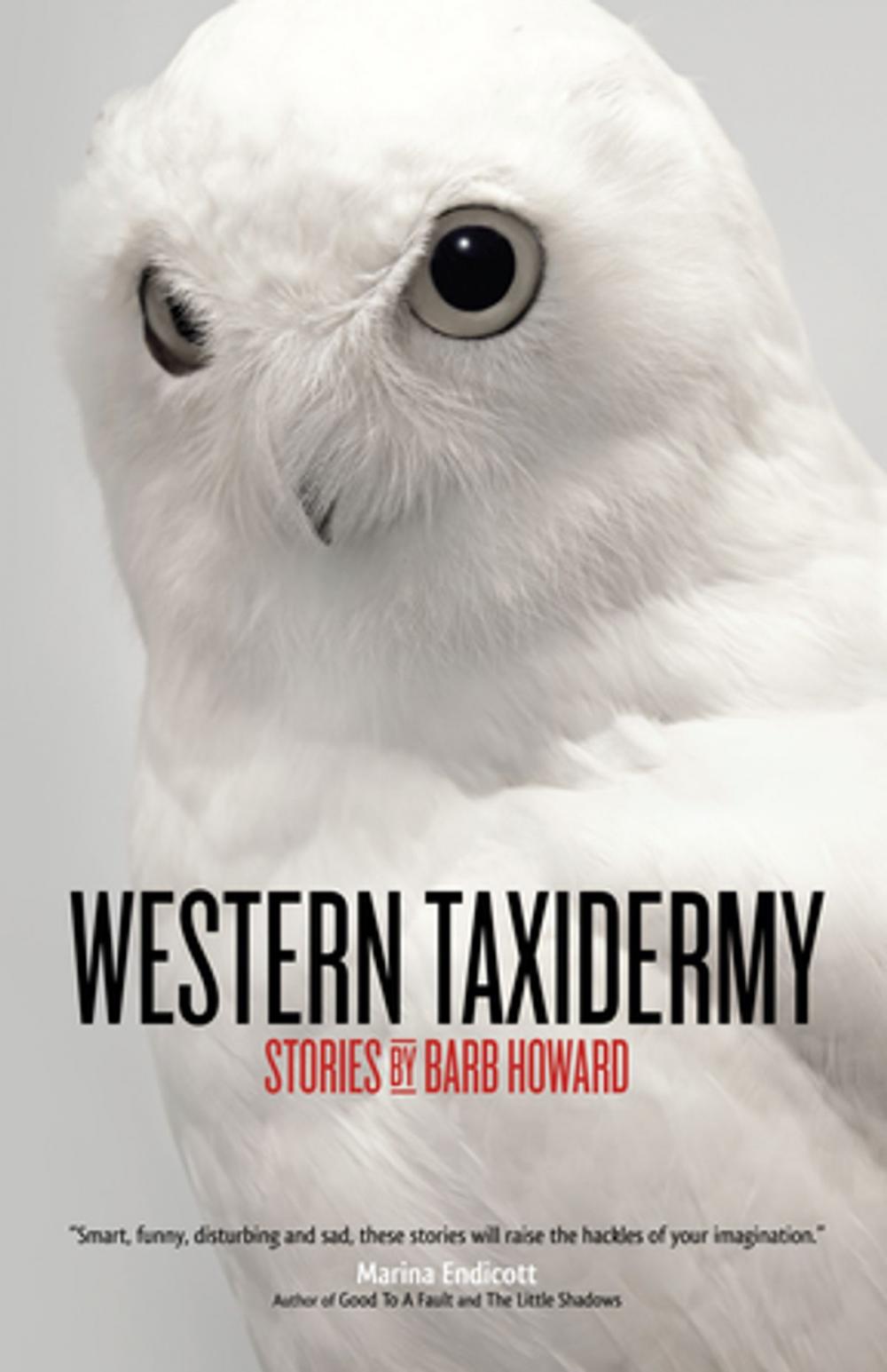 Big bigCover of Western Taxidermy