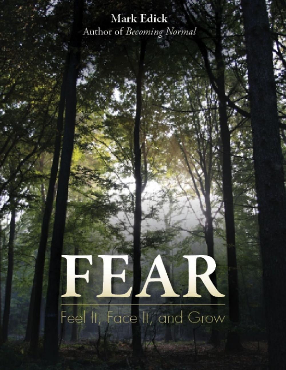 Big bigCover of Fear