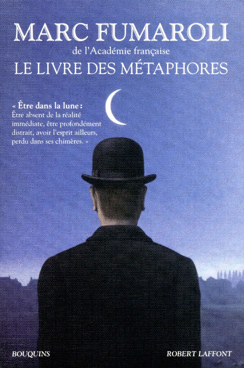 Big bigCover of Le livre des métaphores