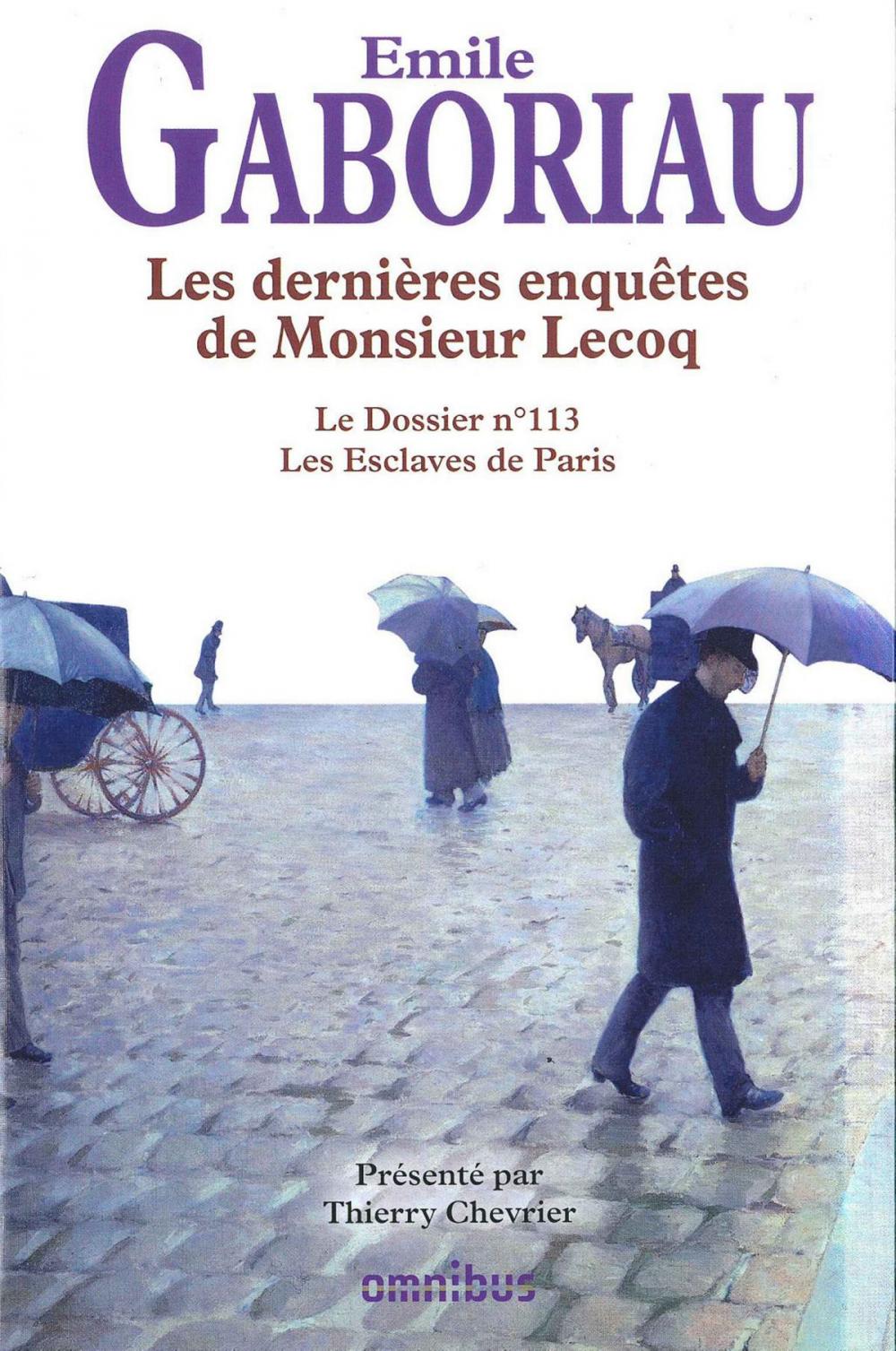 Big bigCover of Les dernières enquêtes de Mr Lecoq