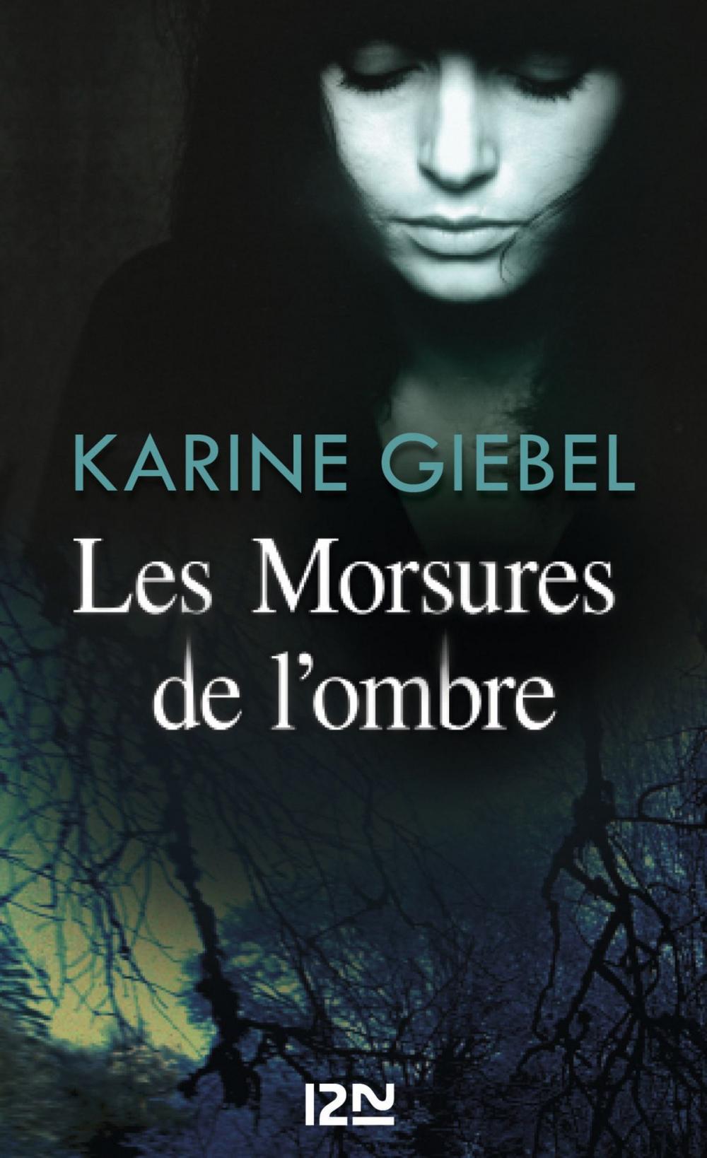 Big bigCover of Les Morsures de l'ombre