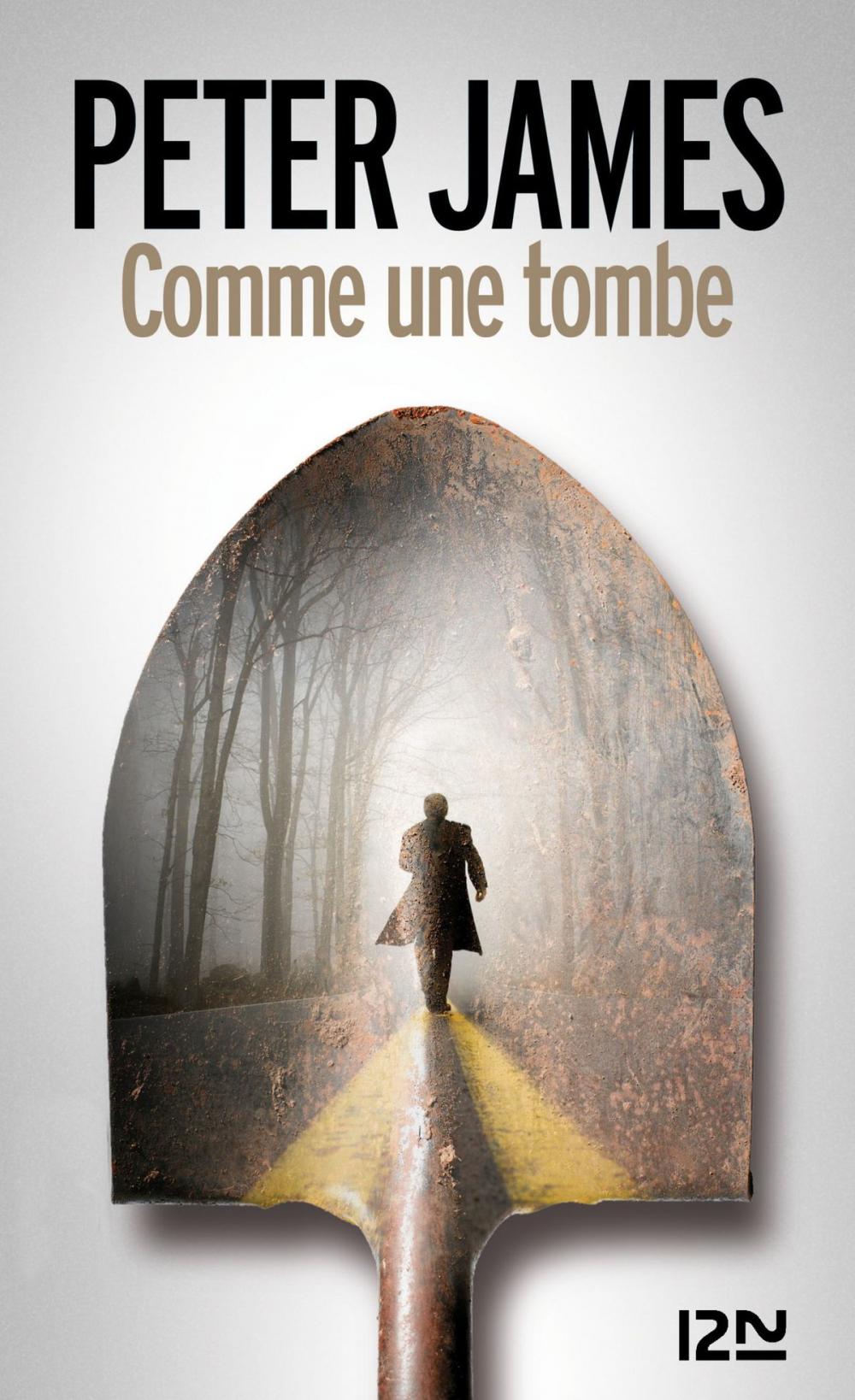 Big bigCover of Comme une tombe