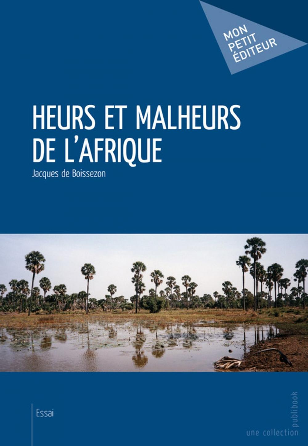 Big bigCover of Heurs et malheurs de l'Afrique