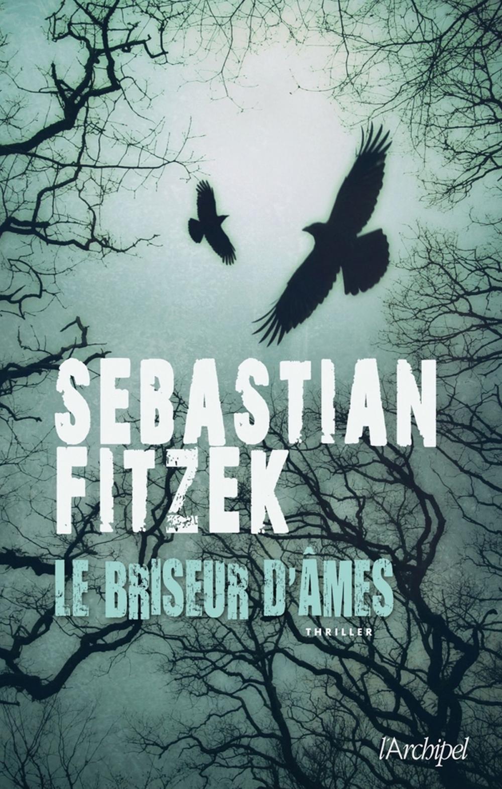 Big bigCover of Le Briseur D'âmes