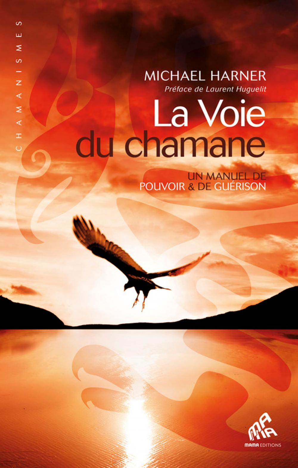 Big bigCover of La Voie du chamane