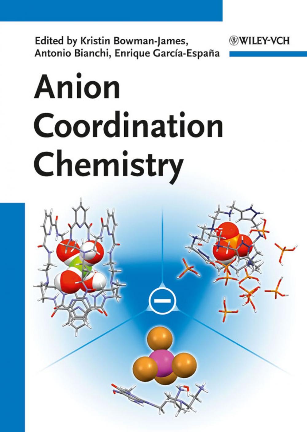 Big bigCover of Anion Coordination Chemistry