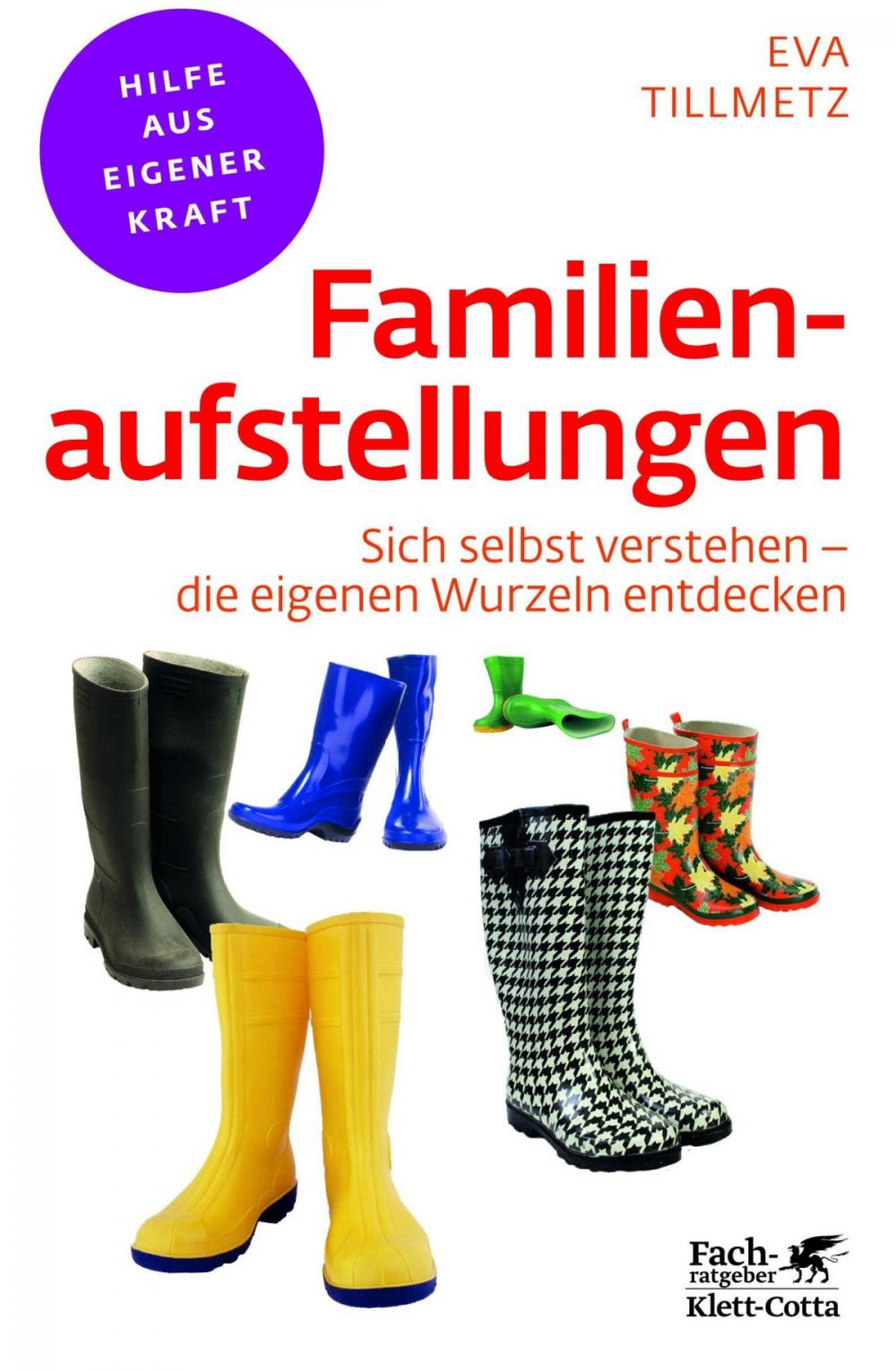 Big bigCover of Familienaufstellungen