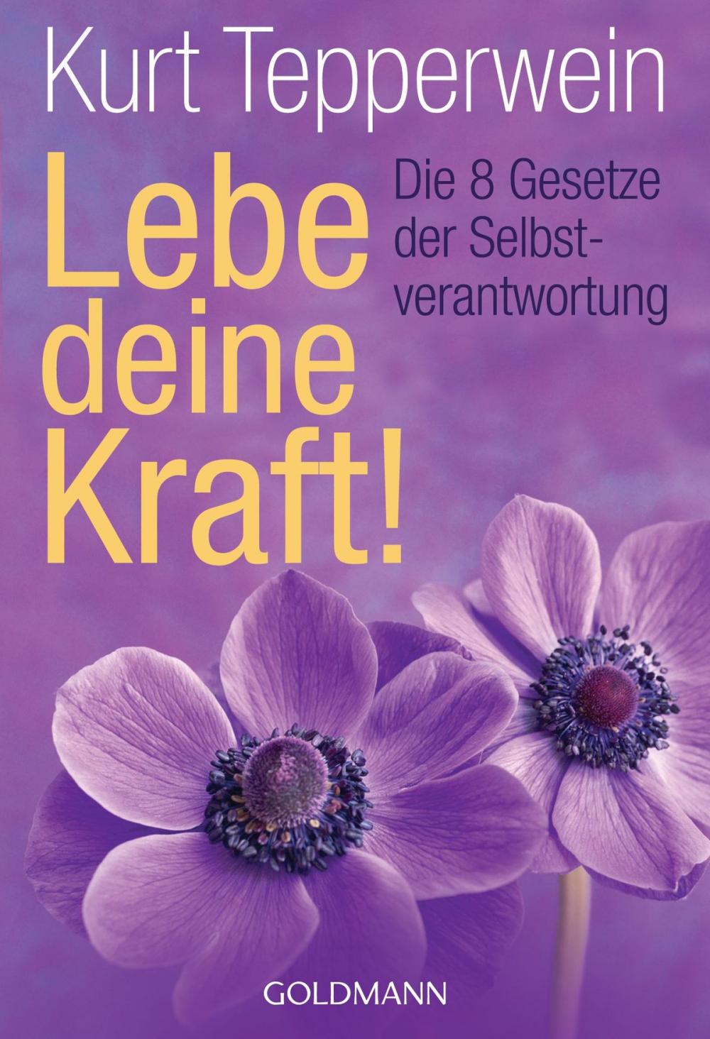 Big bigCover of Lebe deine Kraft!