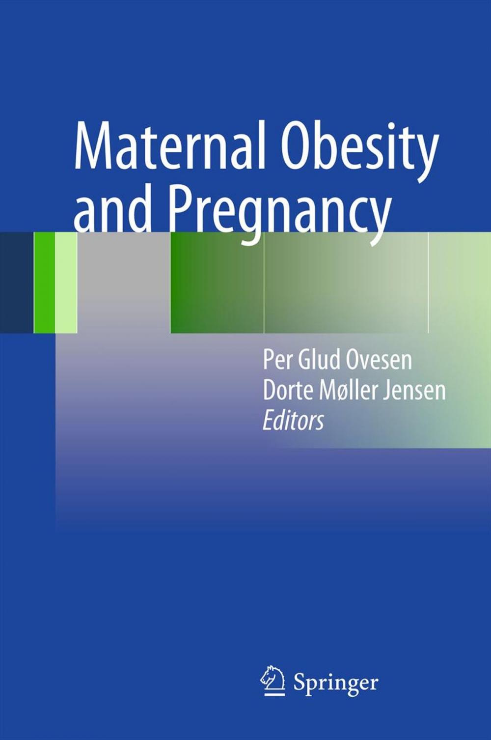 Big bigCover of Maternal Obesity and Pregnancy