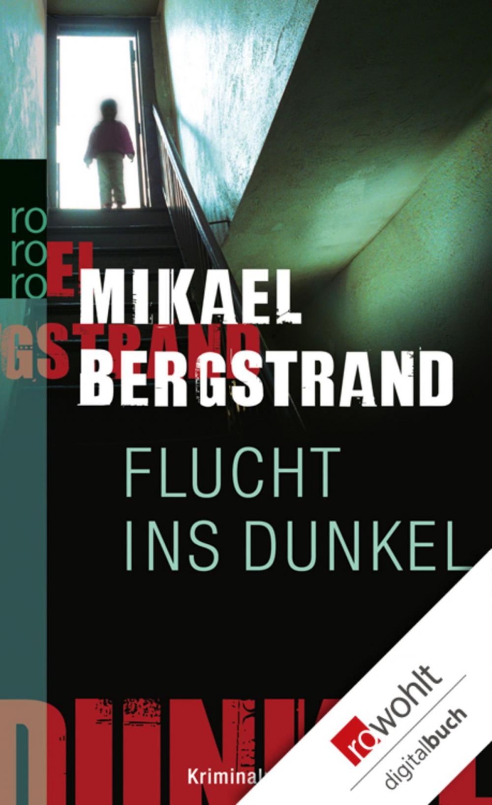 Big bigCover of Flucht ins Dunkel