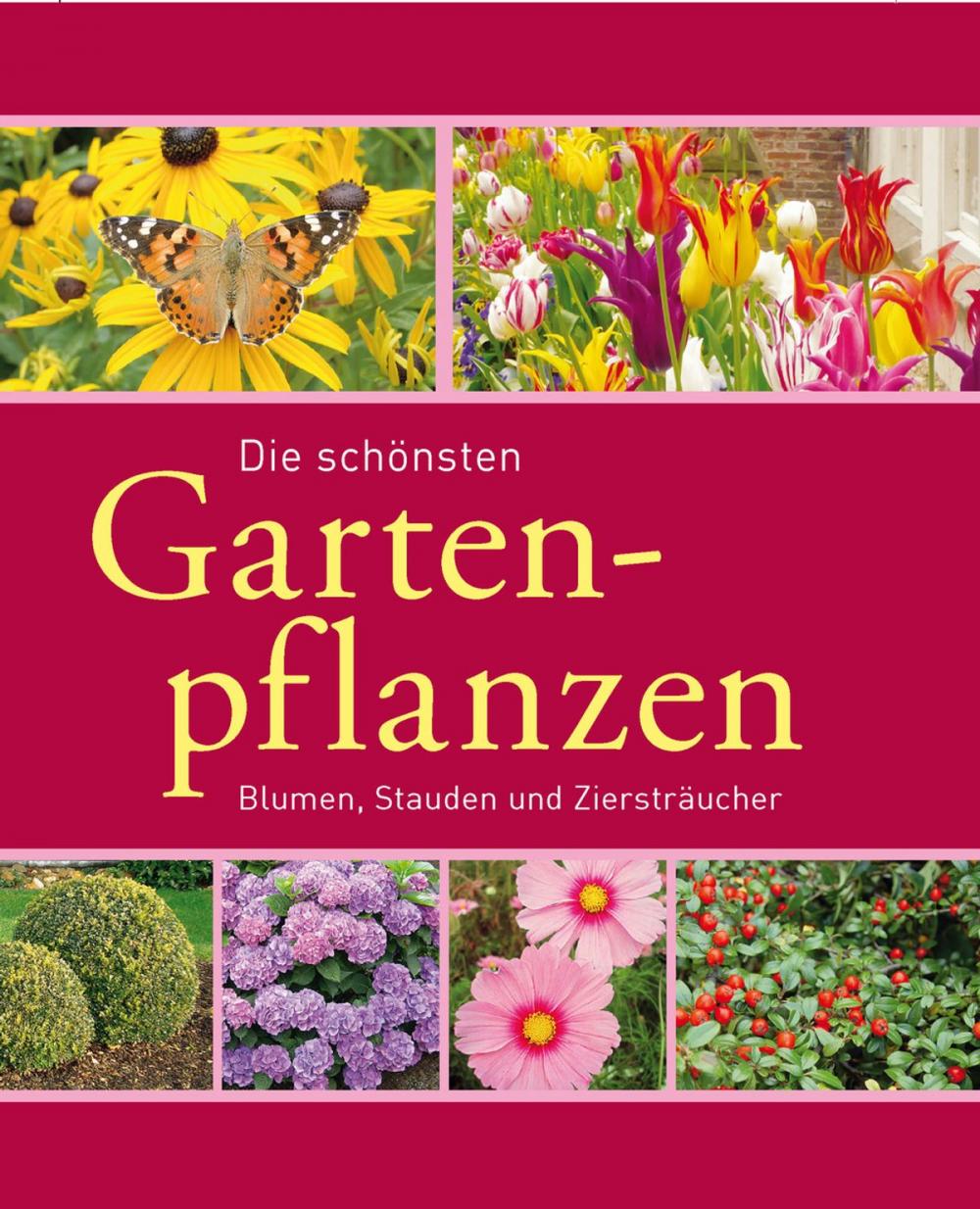 Big bigCover of Die schönsten Gartenpflanzen