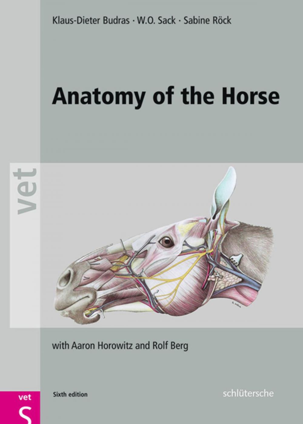 Big bigCover of Anatomy of the Horse