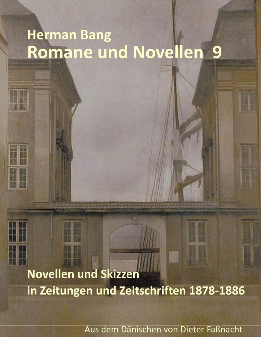 Big bigCover of Romane und Novellen 9