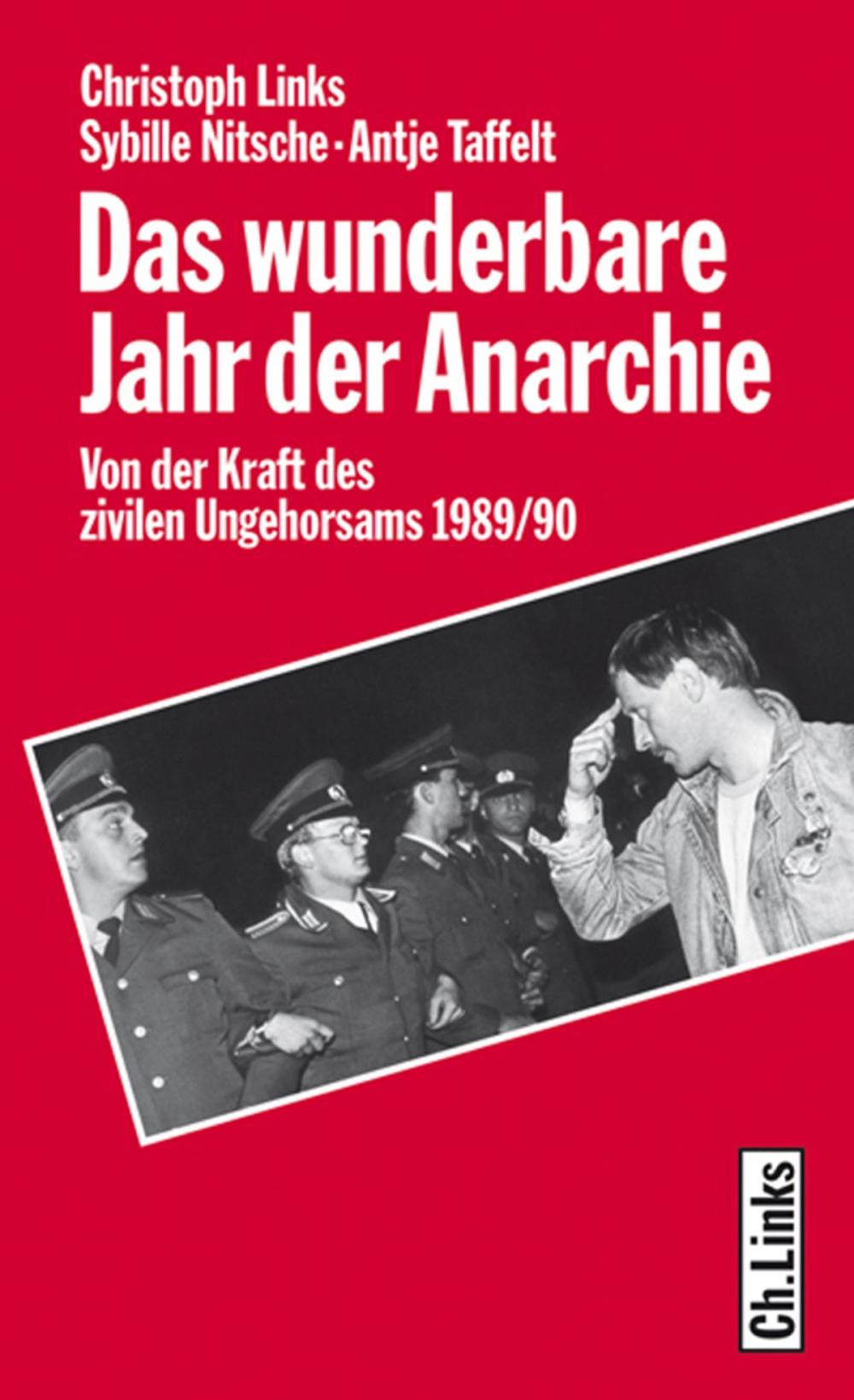 Big bigCover of Das wunderbare Jahr der Anarchie