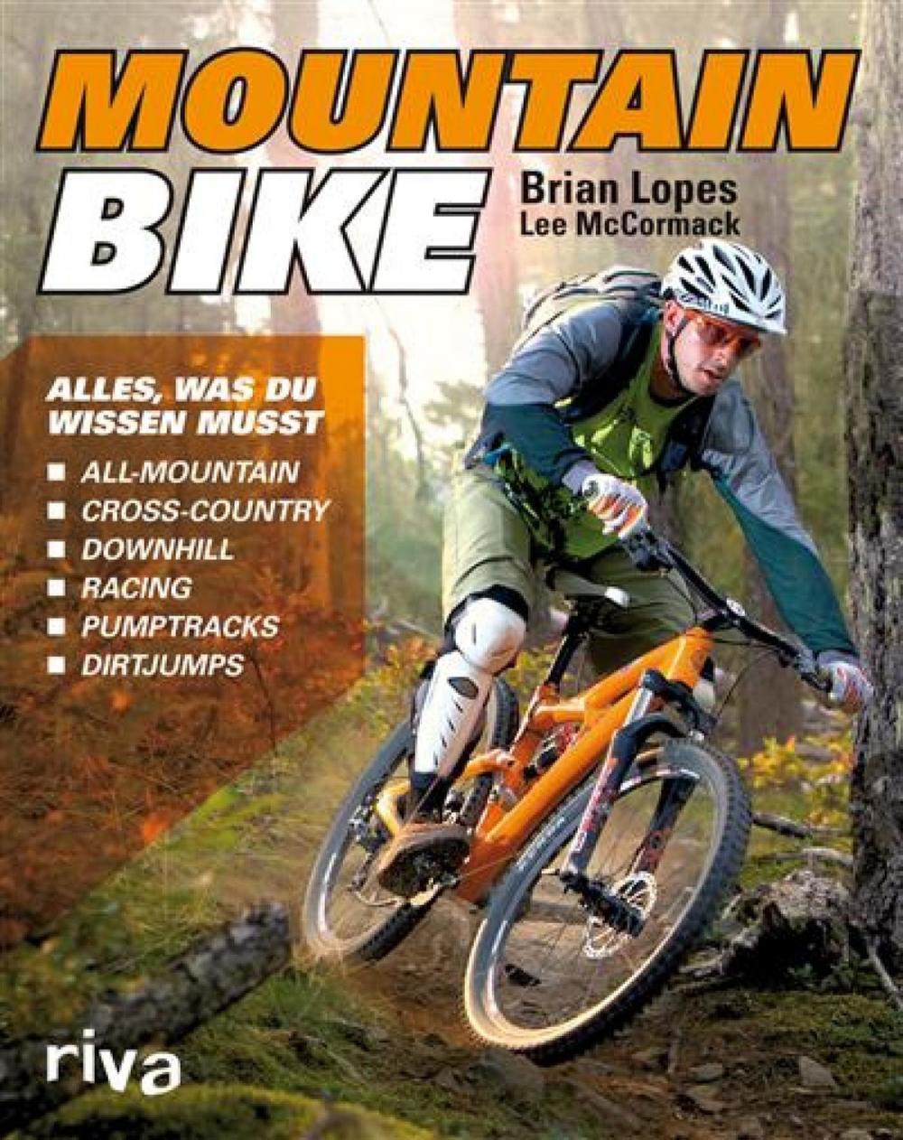 Big bigCover of Mountainbike