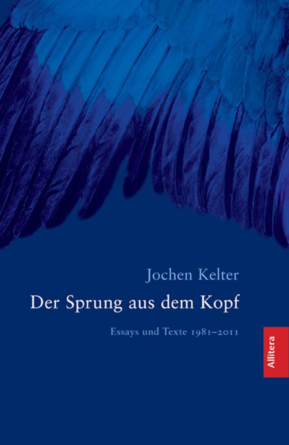 Big bigCover of Der Sprung aus dem Kopf