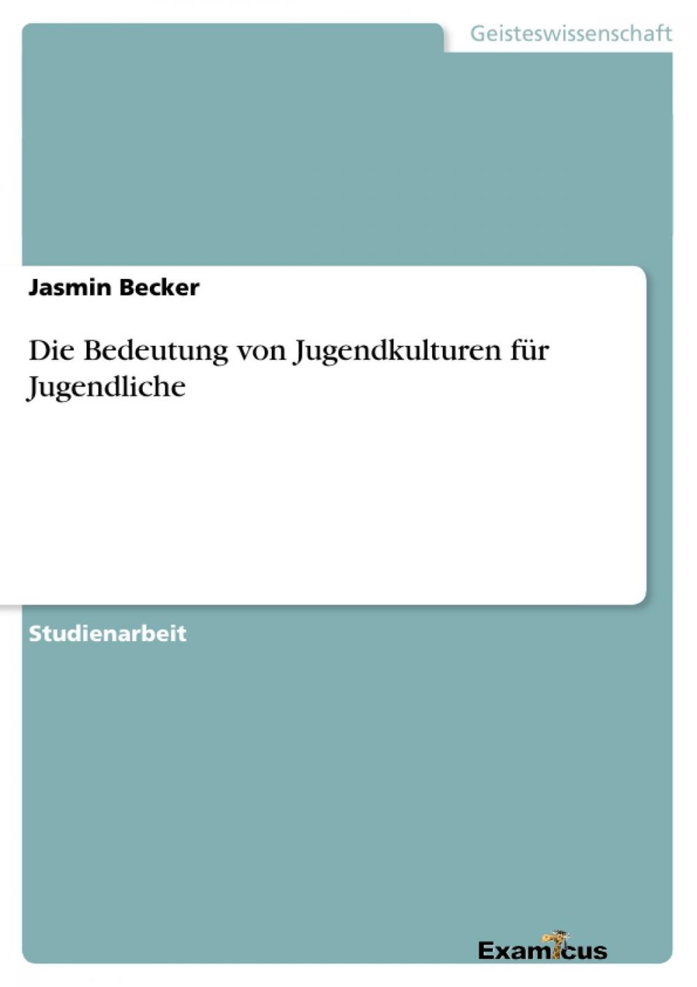 Big bigCover of Die Bedeutung von Jugendkulturen für Jugendliche