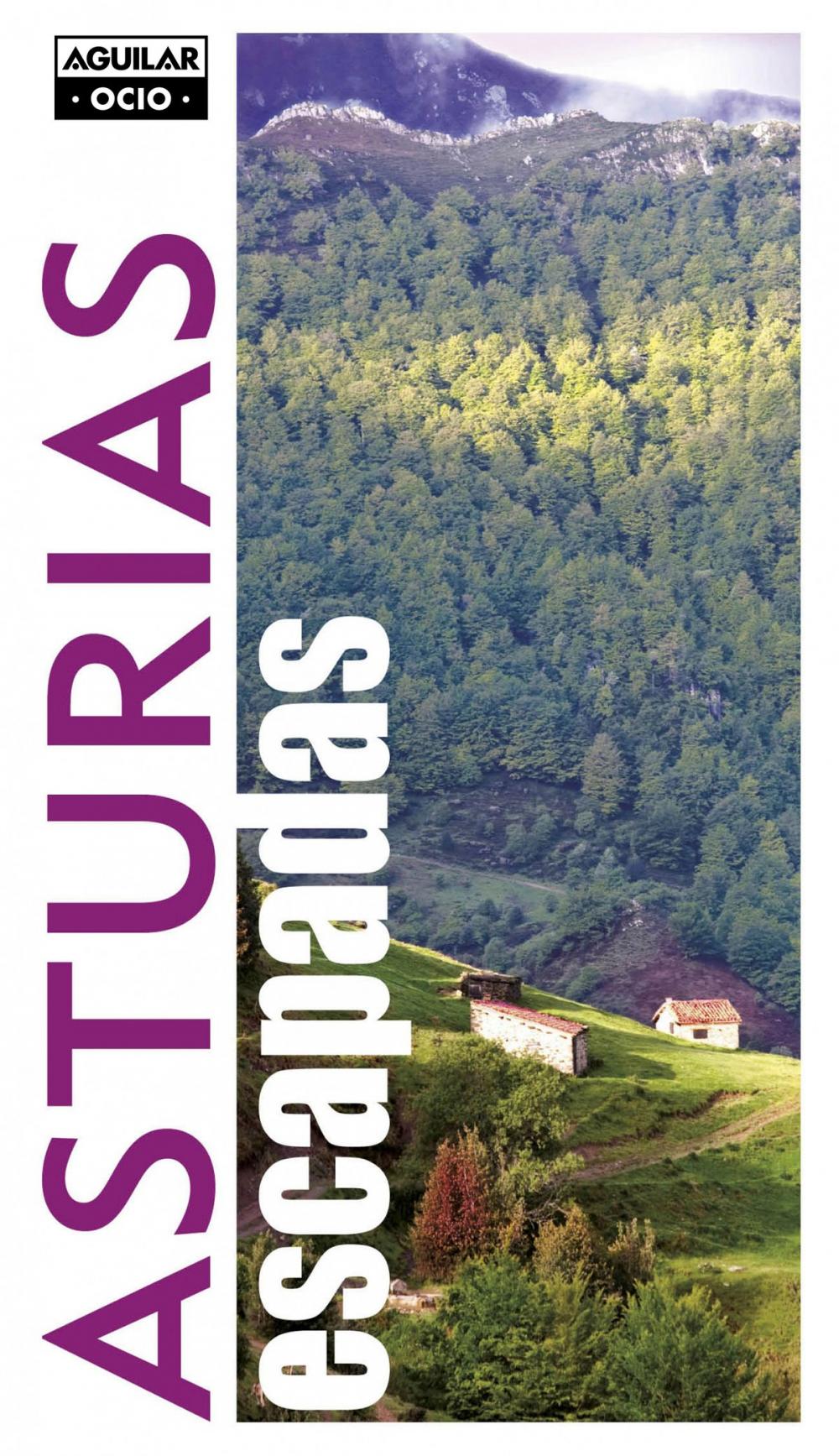 Big bigCover of Asturias (escapadas)