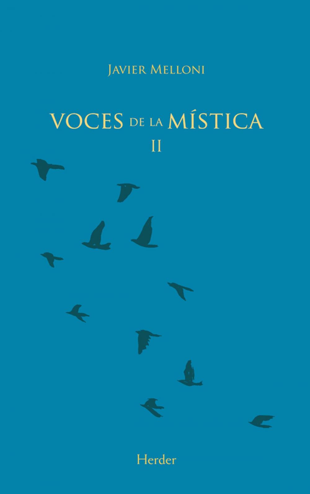 Big bigCover of Voces de la mística II