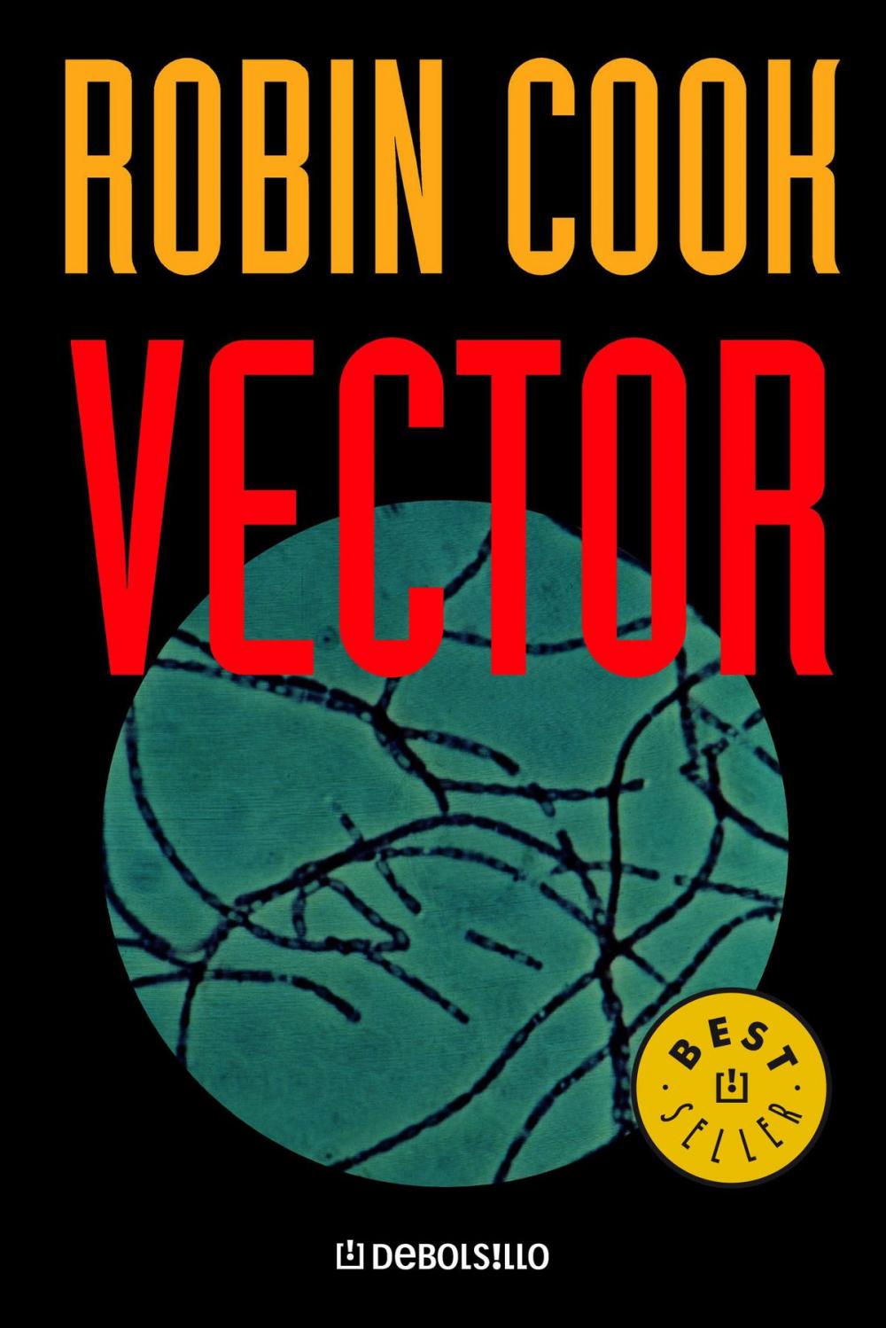 Big bigCover of Vector