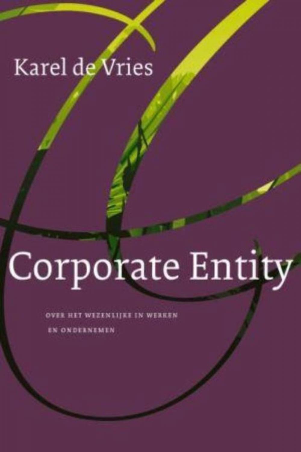 Big bigCover of Corporate Entity