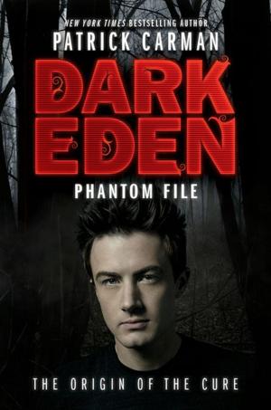 Book cover of Phantom File