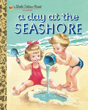 Cover of the book A Day at the Seashore by Courtney Carbone