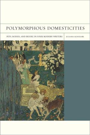 Cover of the book Polymorphous Domesticities by Katharina Vester