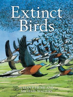Cover of the book Extinct Birds by Cylin Busby